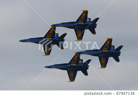 美國海軍特技飛行隊“藍天使”飛行 87987136