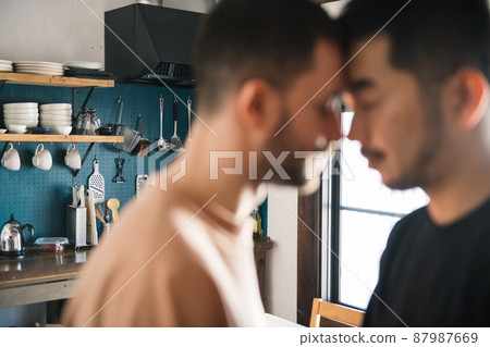 同性戀夫婦 / 多樣性 / LGBTQ / 同性戀夫婦形象 87987669