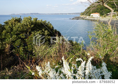 千葉縣富津市竹岡站附近的海岸風光 千葉縣富津市竹岡站附近的海岸風光 87988052