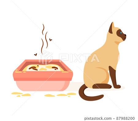 Cat not using dirty litter box. Wrong way to maintain cat toilet. Pet toilet hygiene concept. Flat vector illustration Cat not using dirty litter box. Wrong way to maintain cat toilet. Pet toilet hygiene concept. Flat vector illustration 87988200