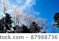 Blue sky and hoarfrost trees and clouds 87988736