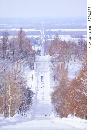 通往隆冬天堂的道路 87988754