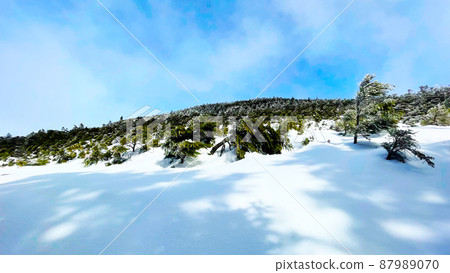 Yatsugatake Blue trees and snowy mountains with beautiful snow Yatsugatake Blue trees and snowy mountains with beautiful snow 87989070