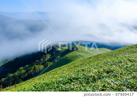 Shinshu Venus Line, Mt. Mimine trekking (view of the mountaintop) 87989417