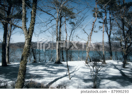The snowy field and the forest The snowy field and the forest 87990293