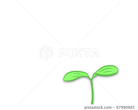 白色背景上的嫩葉 白色背景上的嫩葉 87990985