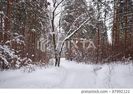 The road in the winter snow-covered forest. Winter landscape. 87992122