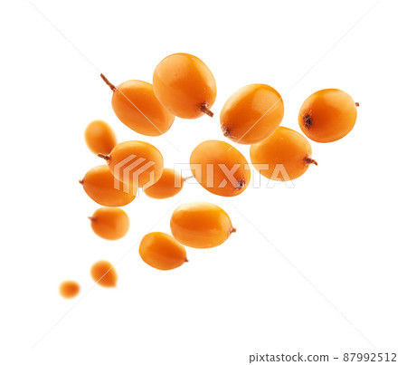 Sea buckthorn berries levitate on a white background Sea buckthorn berries levitate on a white background 87992512