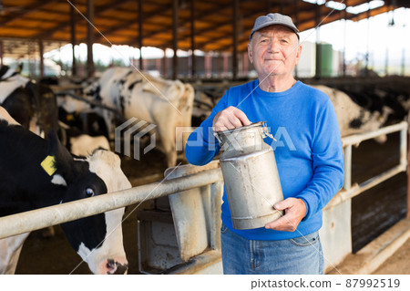 Elderly farmer carrying milk can in stall with cows Elderly farmer carrying milk can in stall with cows 87992519