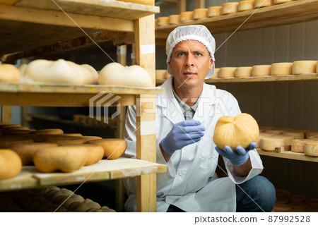 Cheesemaker checking aging process of cheese in maturing chamber 87992528