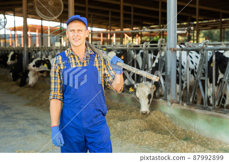 Portrait of positive male farmer who is standing at cow farm Portrait of positive male farmer who is standing at cow farm 87992899
