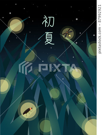 Fireflies are flying in the grass on a summer night 87992921