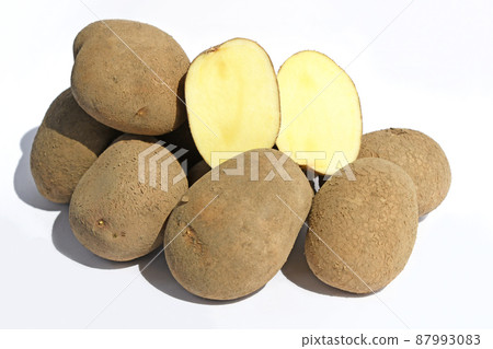 Potato (Kogane Maru) Potato (Kogane Maru) 87993083