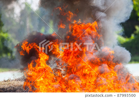 Flame fire movemen. 87993500