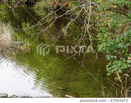流經飛鳥村的飛鳥河 流經飛鳥村的飛鳥河 87993973