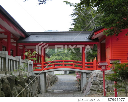群馬縣赤城神社 87993977