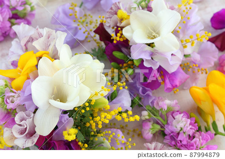 小蒼蘭含羞草甜豌豆 87994879