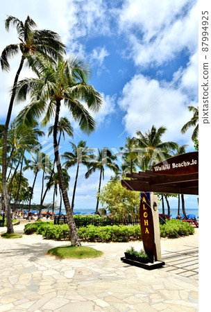夏威夷的假期 87994925
