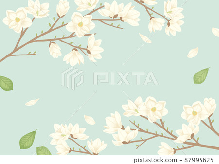 spring flower background, magnolia frame illustration 87995625
