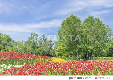 Yurigahara Park, Yurigahara Park, 札幌市 Yurigahara Park, Yurigahara Park, 札幌市 87996077