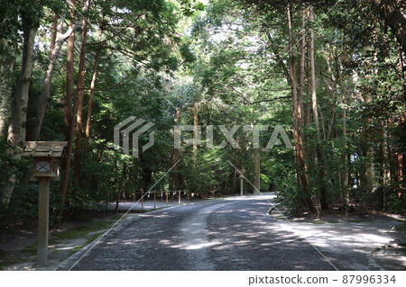 森林參道_外宮_伊勢神宮 森林參道_外宮_伊勢神宮 87996334