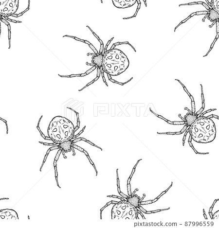 Seamless pattern of monochrome spiders illustration. Vector illustration template 87996559
