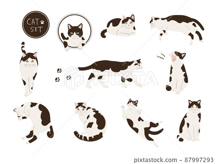 黑白貓插圖集 黑白貓插圖集 87997293