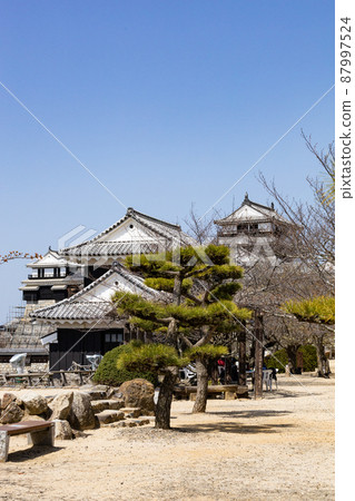 EOSRP. 愛媛松山,城堡和松樹。 EOSRP. 愛媛松山,城堡和松樹。 87997524