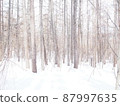 Fantastic snow scene 87997635