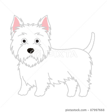 西高地白梗狗圖 87997668