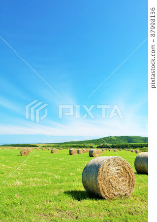 北海道夏天藍天和牧場卷 87998136