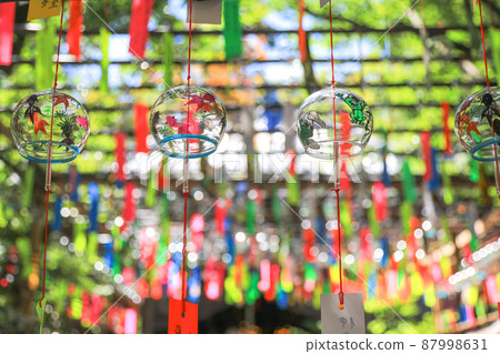 如蓮寺風鈴節 如蓮寺風鈴節 87998631