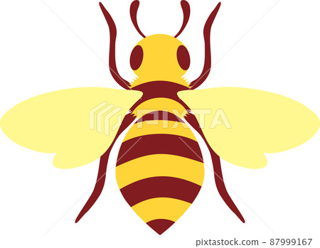 夏季昆蟲，昆蟲，蜜蜂，蜜蜂，蜜蜂，簡單的圖標，可愛的插圖素材 87999167