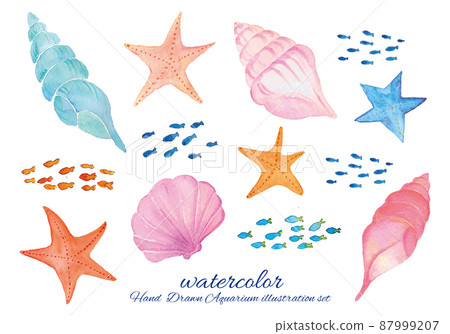 Handdrawn Set Of Seashells And Starfish Stock Illustration