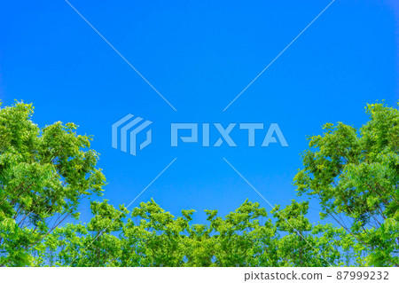 Blue sky and fresh green [Aichi Prefecture] 87999232