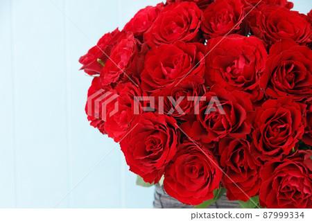 Copy space on red roses and blue background 87999334