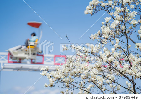 父母和孩子在名古屋港區美麗的戶田川綠地公園玩春假 父母和孩子在名古屋港區美麗的戶田川綠地公園玩春假 87999449