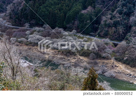 從月瀨梅谷眺望 88000052