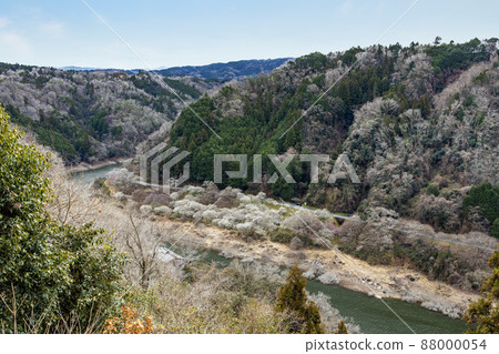 從月瀨梅谷眺望 88000054