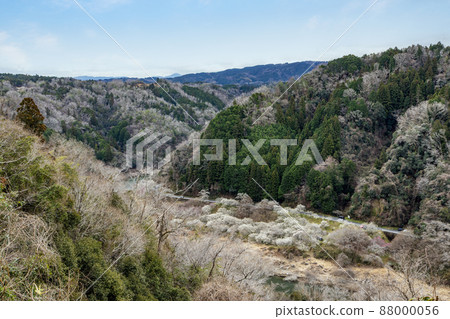 View from Tsukigase Plum Valley 88000056