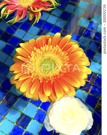 Colorful flowers floating in the water of bright blue tiles 88000256