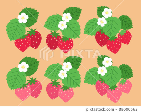 Strawberry illustration set (with leaves and flowers) 88000562