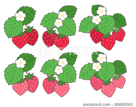 Strawberry illustration set (with leaves and flowers) 88000563