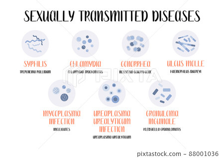 Sexually transmitted diseases. Bacterial infection. Syphilis, Gonorrhea, Chancroid, Ulcus molle, Granuloma inguinale, Ureaplasma and Mycoplasma infections. Gynecology, urology. Vector flat cartoon art Sexually transmitted diseases. Bacterial infection. Syphilis, Gonorrhea, Chancroid, Ulcus molle, Granuloma inguinale, Ureaplasma and Mycoplasma infections. Gynecology, urology. Vector flat cartoon art 88001036