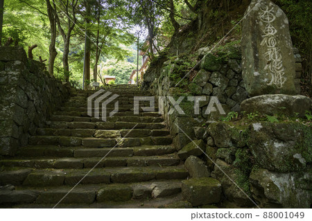 Tanzawa Oyama ancient road Tanzawa Oyama ancient road 88001049