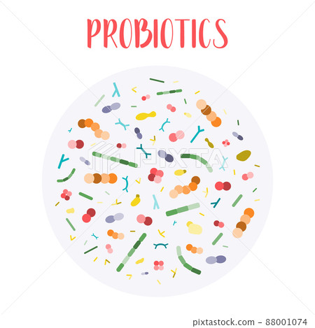 Probiotics. Lactic acid bacteria. Good bacteria and microorganisms for gut and intestinal flora health. Microbiome. Bifidobacterium, lactobacillus, lactococcus, thermophilus streptococcus, Probiotics. Lactic acid bacteria. Good bacteria and microorganisms for gut and intestinal flora health. Microbiome. Bifidobacterium, lactobacillus, lactococcus, thermophilus streptococcus, 88001074