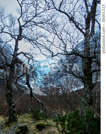 Briksdal glacier in Norway during winter 88001323