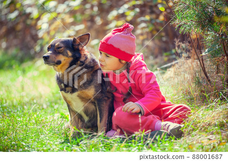 Happy little girl playing with dog in the forest Happy little girl playing with dog in the forest 88001687