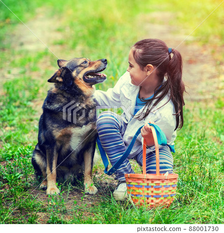 Happy smiling little girl with picnic basket sitting with dog on the grass in the forest. Girl and dog looking to each other Happy smiling little girl with picnic basket sitting with dog on the grass in the forest. Girl and dog looking to each other 88001730