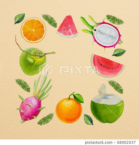 Watercolor painted collection of fruits. 88002837